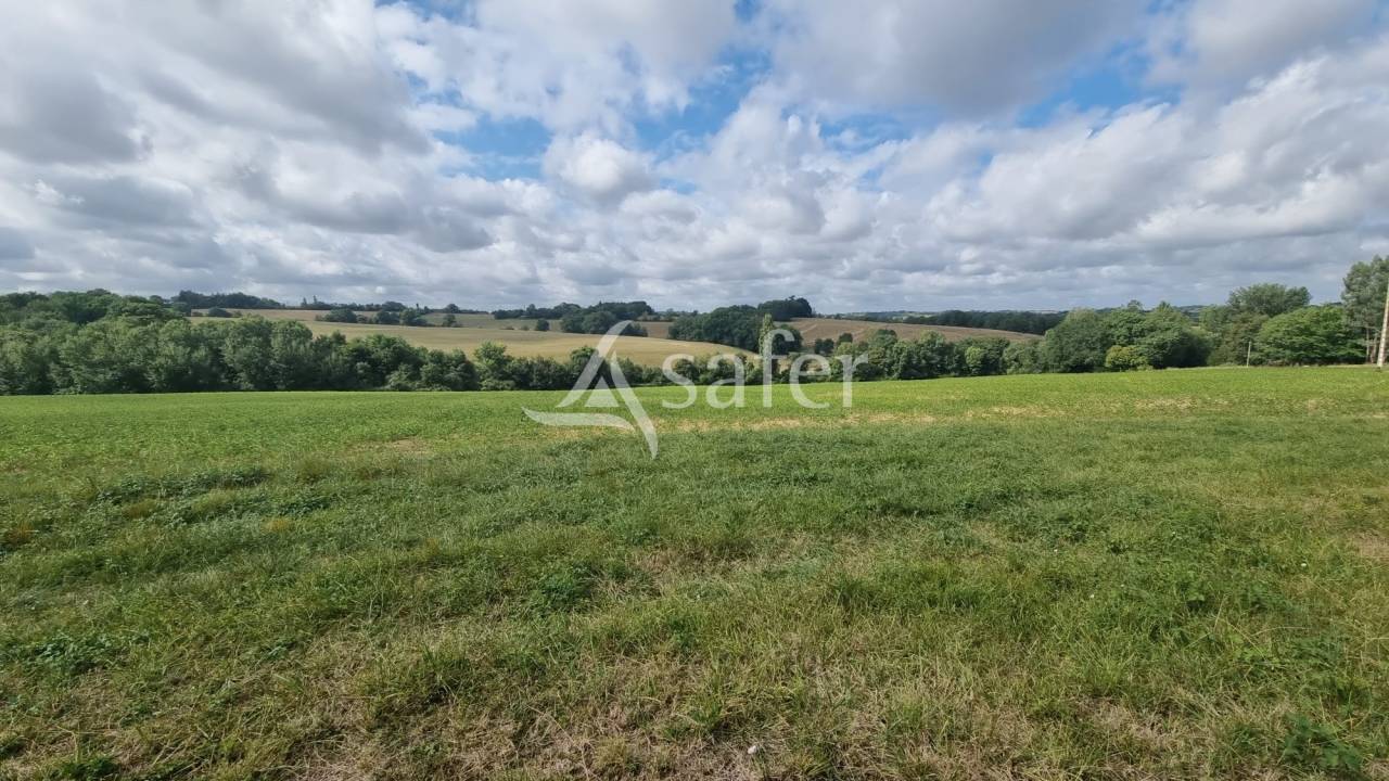 Azienda agricola In vendita Gers