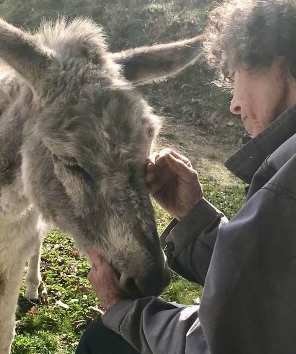 Asno Miniature In vendita 2025 Grigio