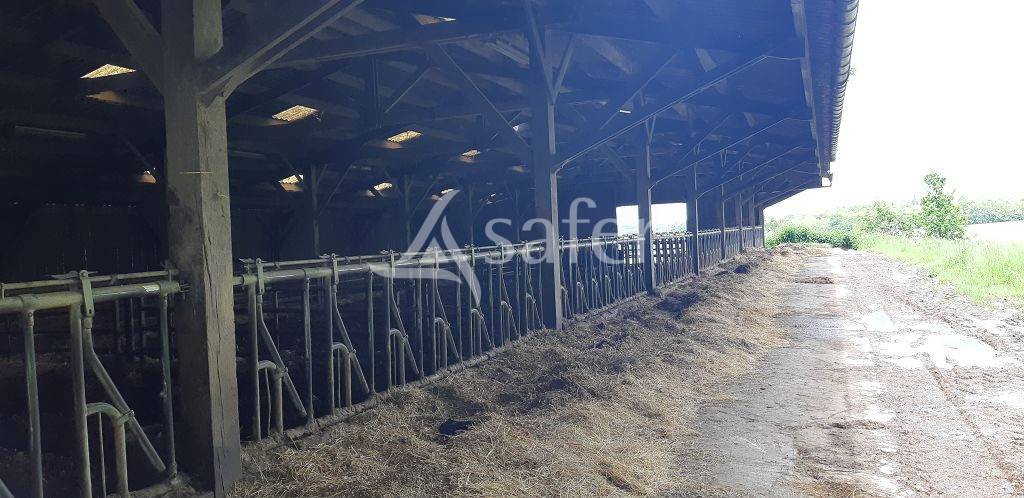 Azienda ovina In vendita Haute-Vienne