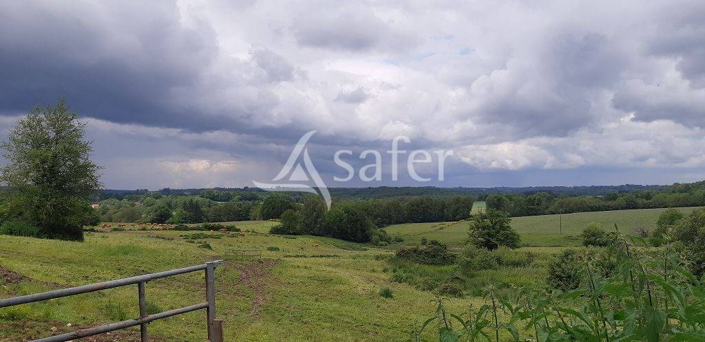 Azienda ovina In vendita Haute-Vienne