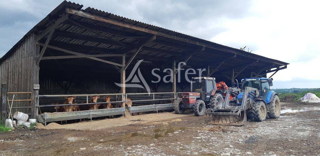 Azienda ovina In vendita Haute-Vienne