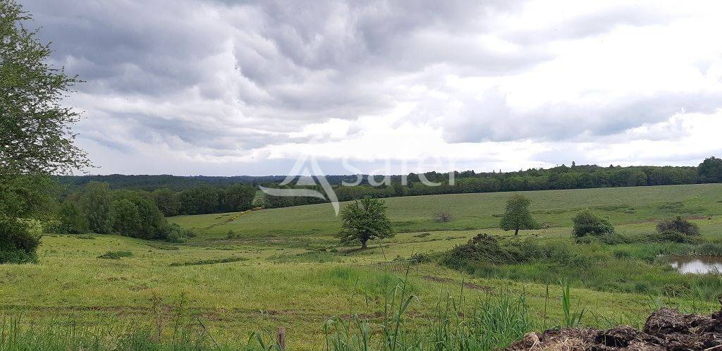 Azienda ovina In vendita Haute-Vienne