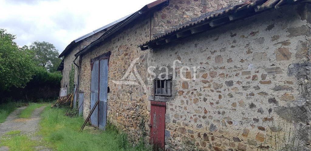 Azienda ovina In vendita Haute-Vienne