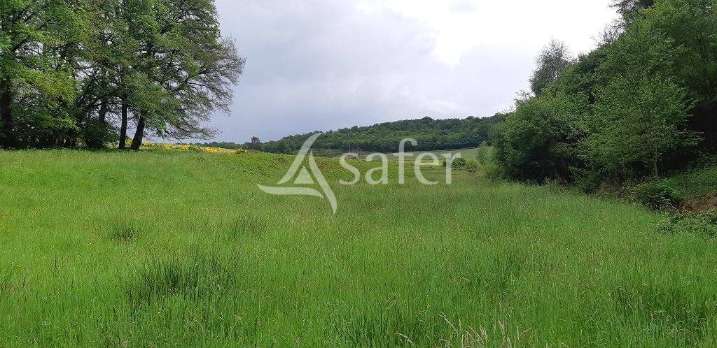 Azienda ovina In vendita Haute-Vienne