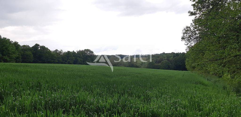 Azienda ovina In vendita Haute-Vienne