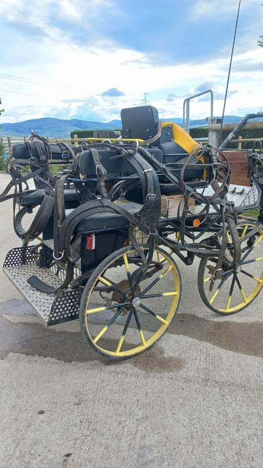 Attacchi - Marathon ricreazione   