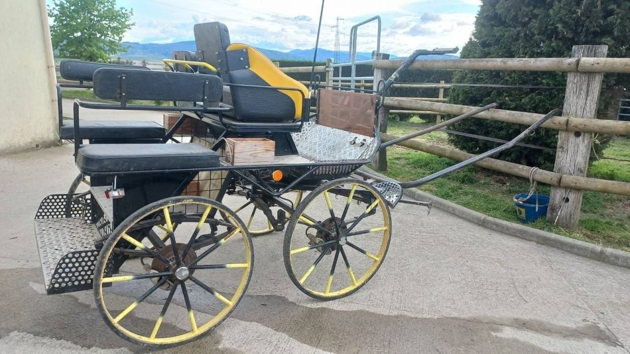 Attacchi - Marathon ricreazione   