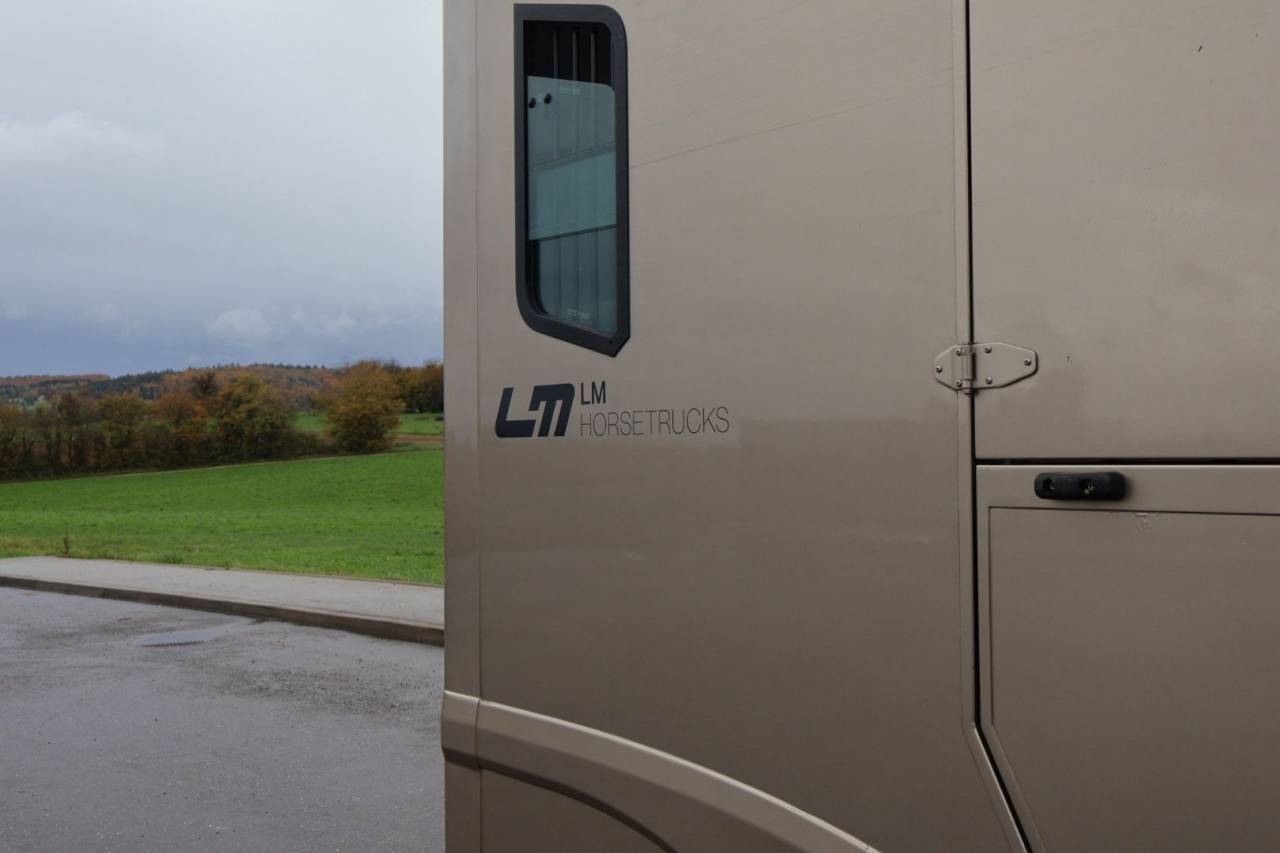 Van per Cavalli Theault MASTER PROTEO SWITCH 2019 Occasione