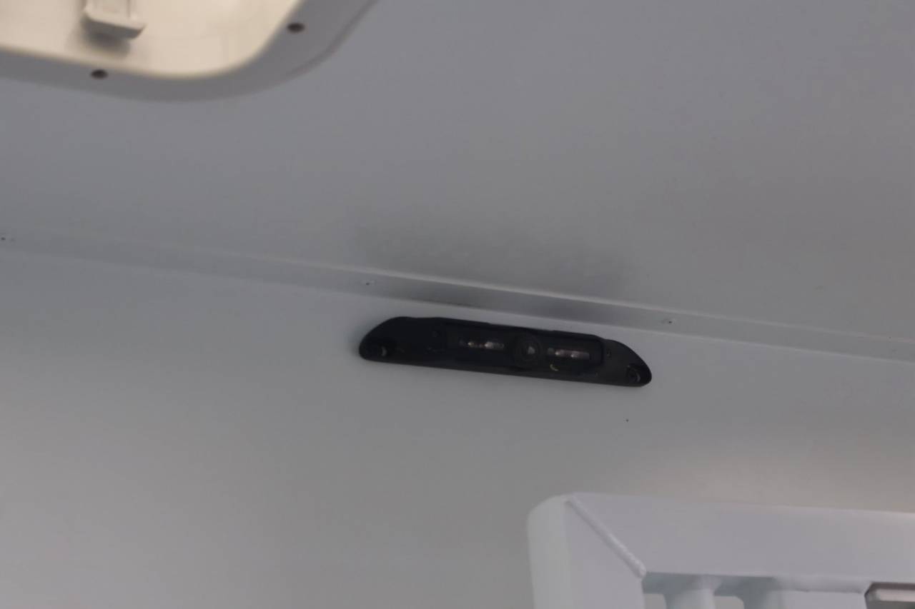 Van per Cavalli Theault MASTER PROTEO SWITCH 2019 Occasione