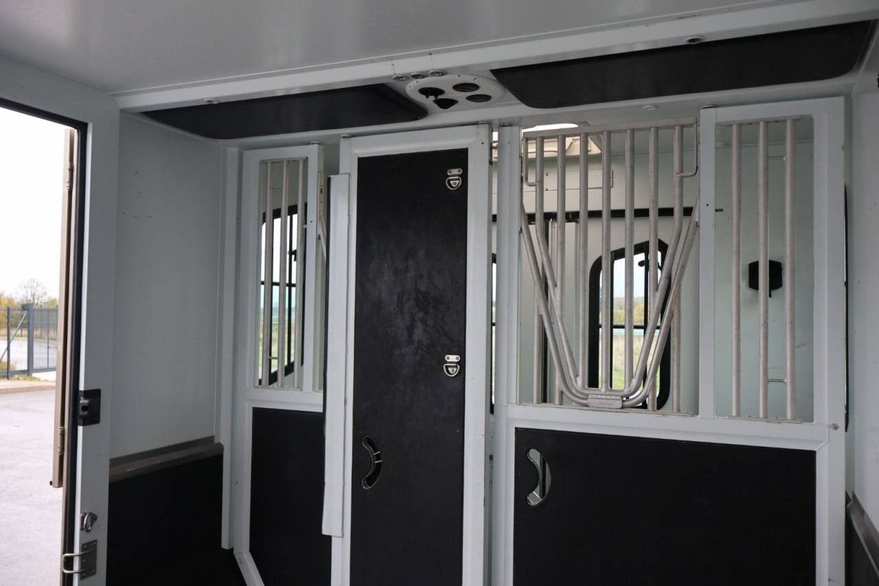 Van per Cavalli Theault MASTER PROTEO SWITCH 2019 Occasione