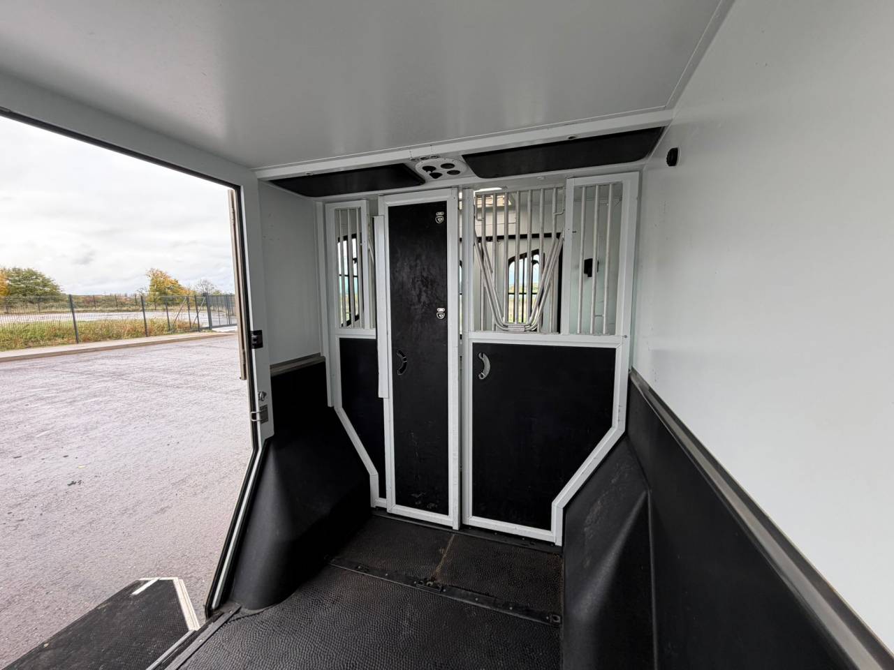 Van per Cavalli Theault MASTER PROTEO SWITCH 2019 Occasione