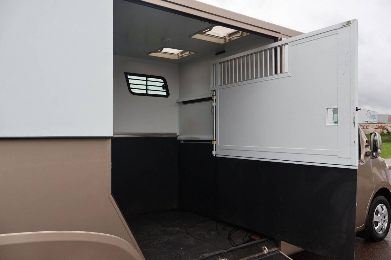 Van per Cavalli Theault MASTER PROTEO SWITCH 2019 Occasione