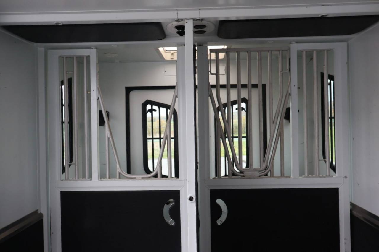 Van per Cavalli Theault MASTER PROTEO SWITCH 2019 Occasione