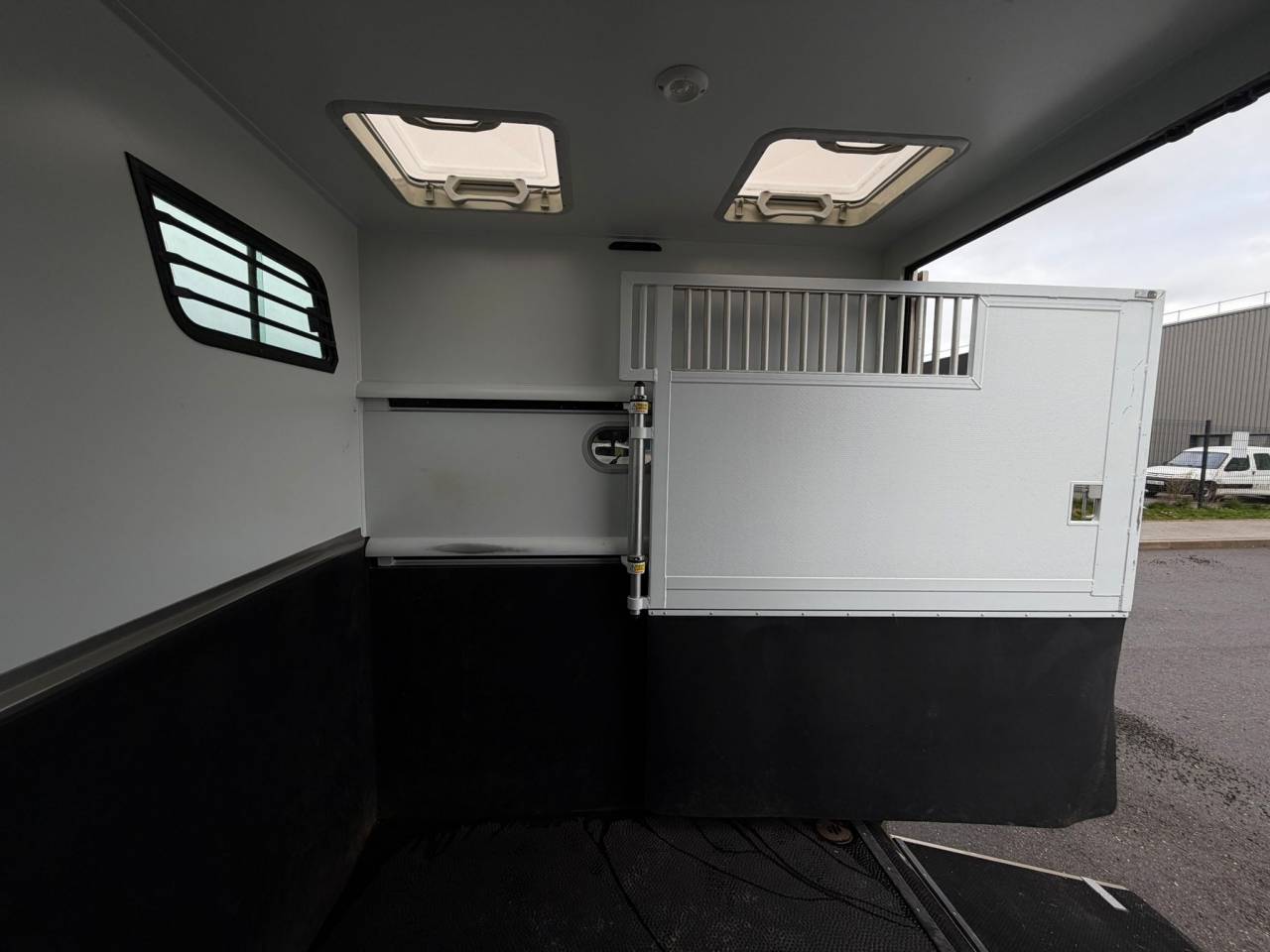 Van per Cavalli Theault MASTER PROTEO SWITCH 2019 Occasione