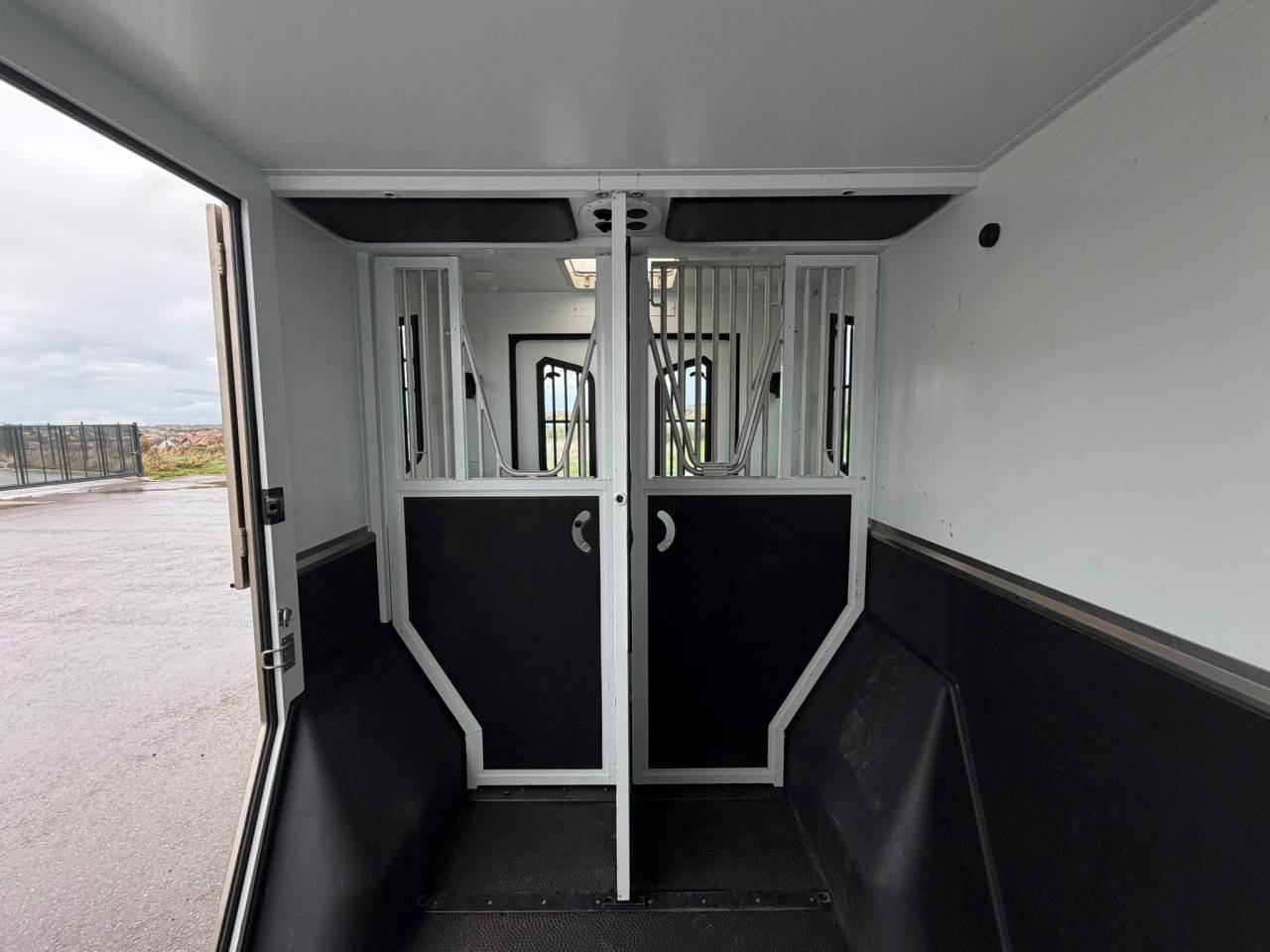 Van per Cavalli Theault MASTER PROTEO SWITCH 2019 Occasione