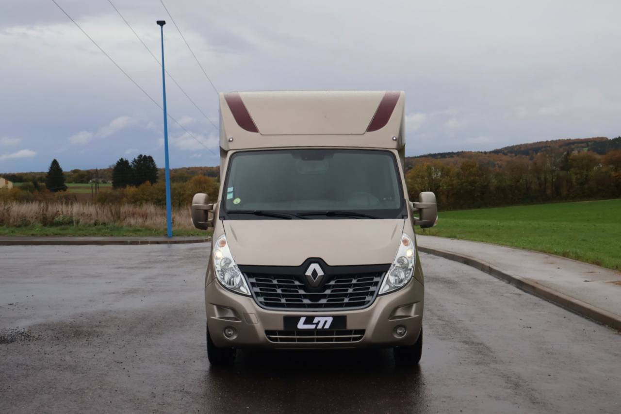 Van per Cavalli Theault MASTER PROTEO SWITCH 2019 Occasione