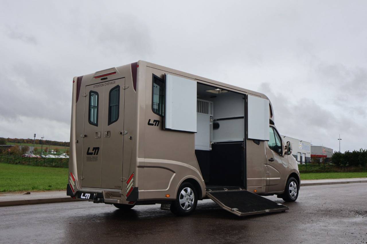 Van per Cavalli Theault MASTER PROTEO SWITCH 2019 Occasione