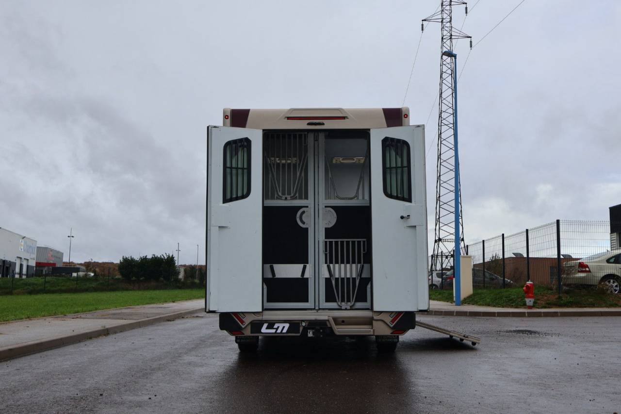 Van per Cavalli Theault MASTER PROTEO SWITCH 2019 Occasione