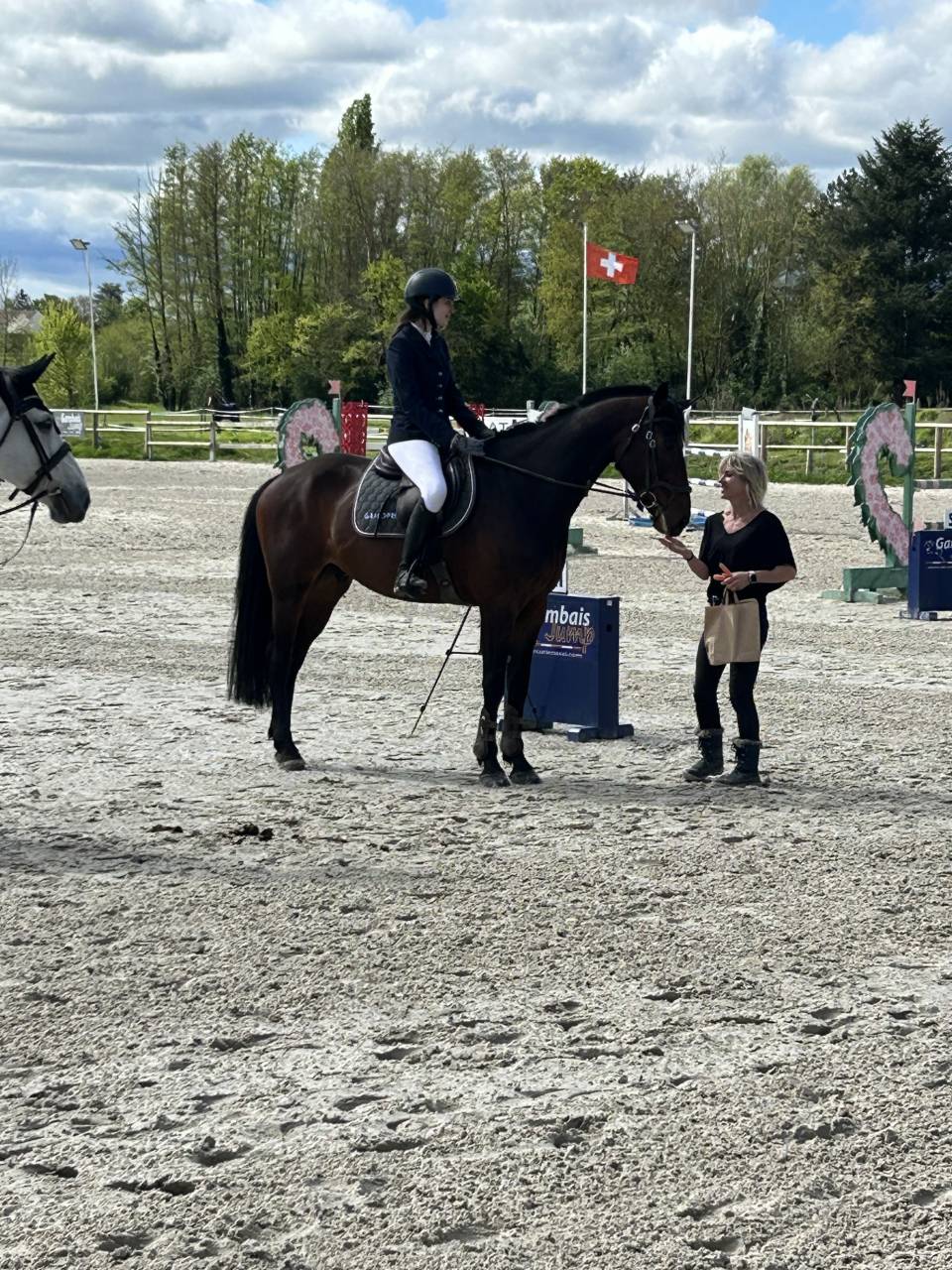 Castrone Sella Francese Mezza-Pensione 2017 Baio