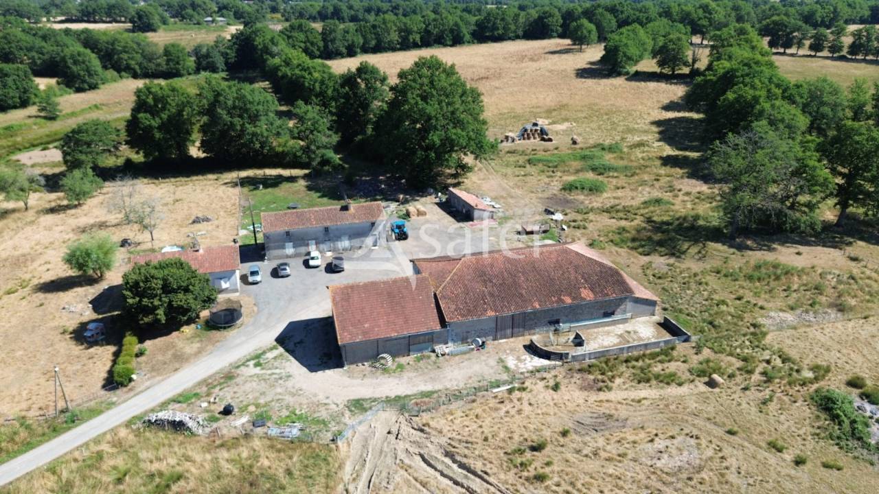 Azienda ovina In vendita Charente