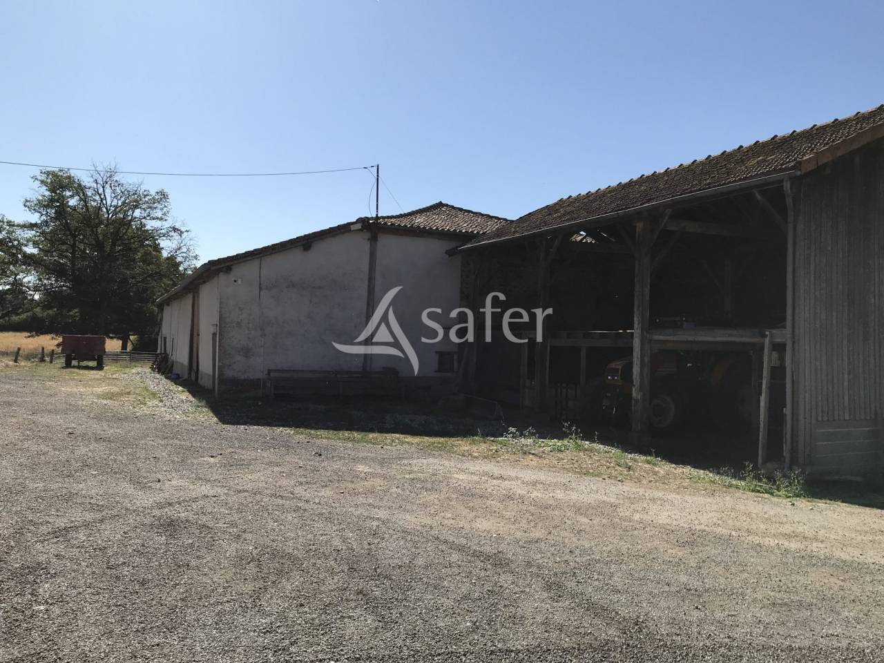 Azienda ovina In vendita Charente