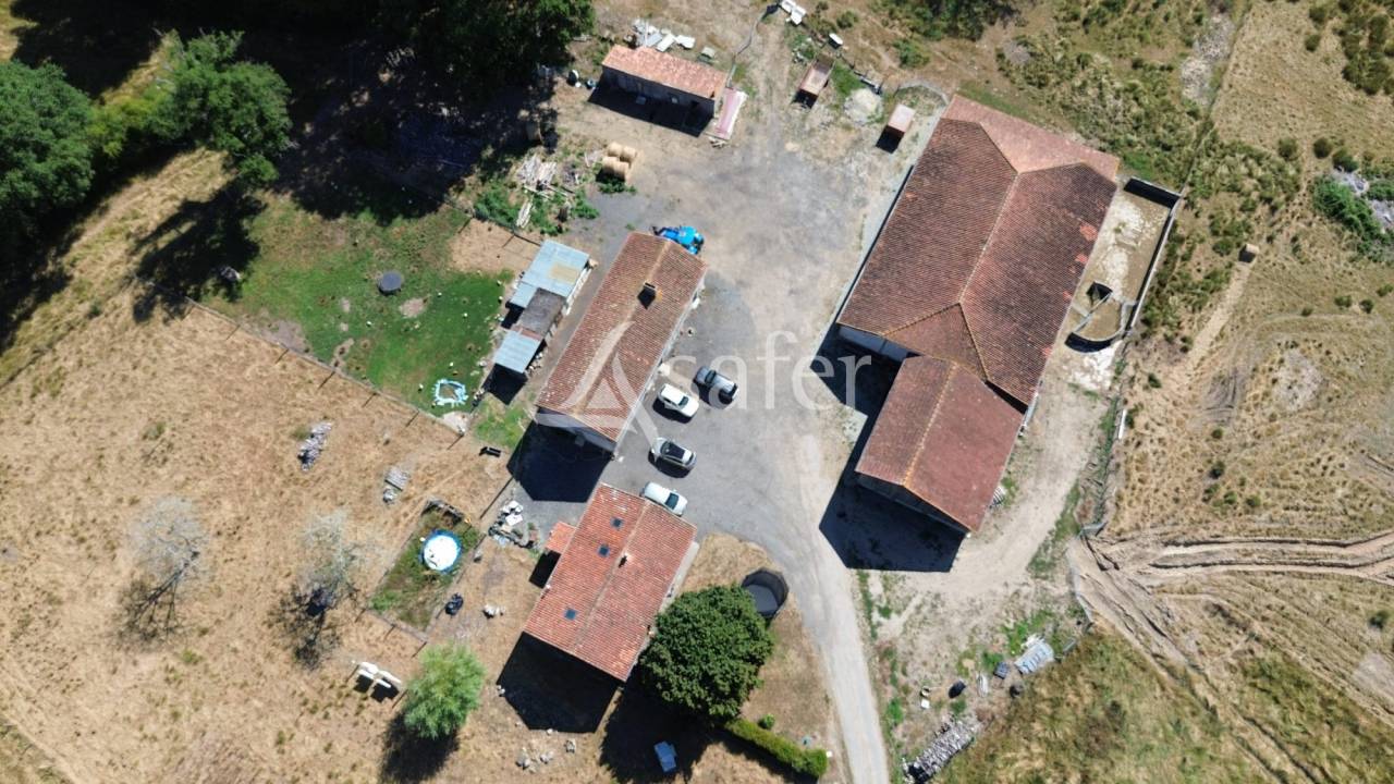 Azienda ovina In vendita Charente