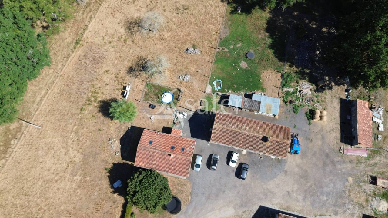 Azienda ovina In vendita Charente