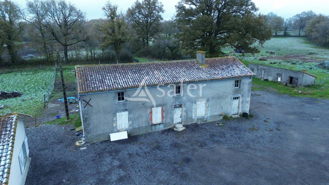 Azienda ovina In vendita Charente