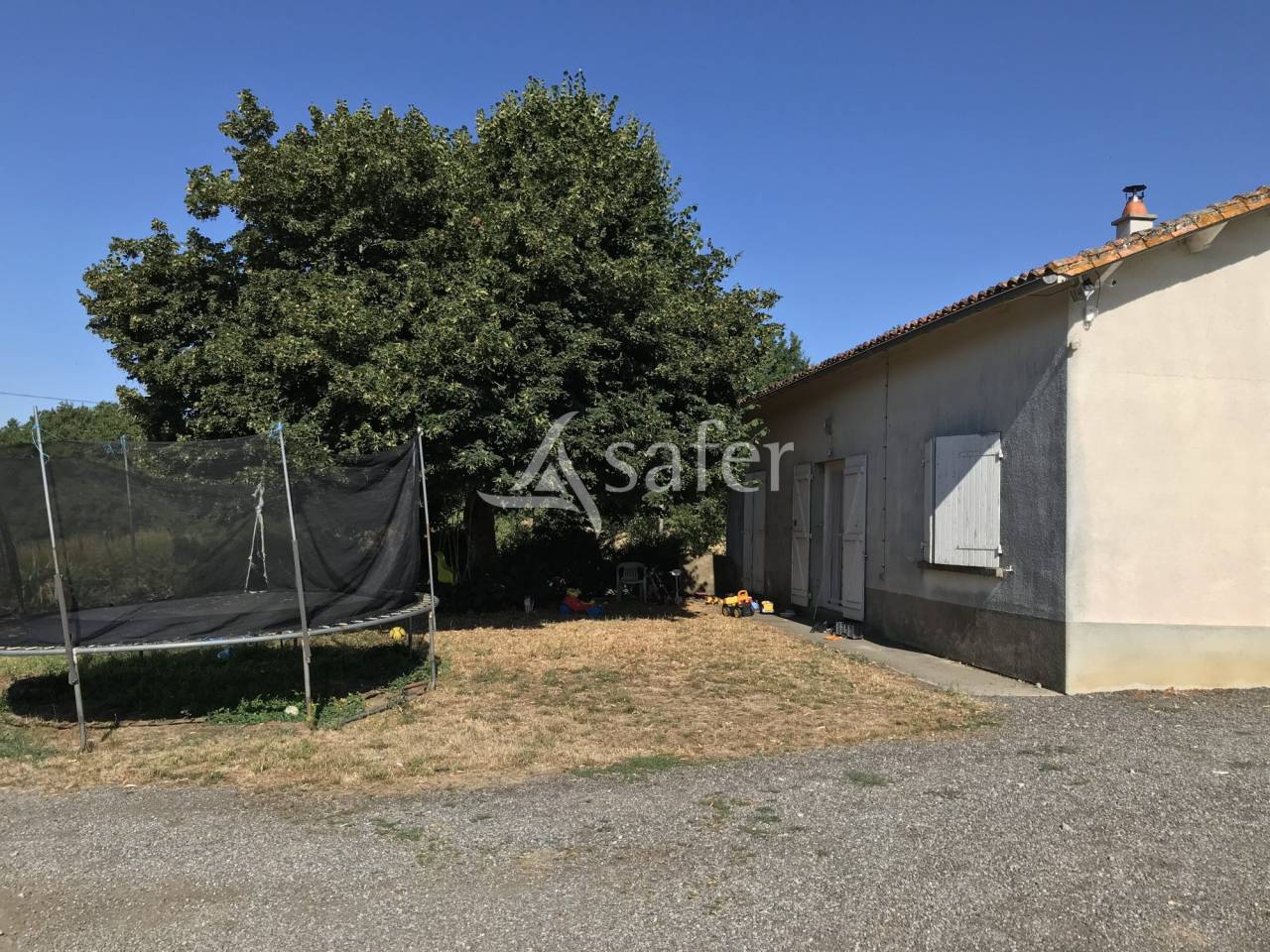 Azienda ovina In vendita Charente