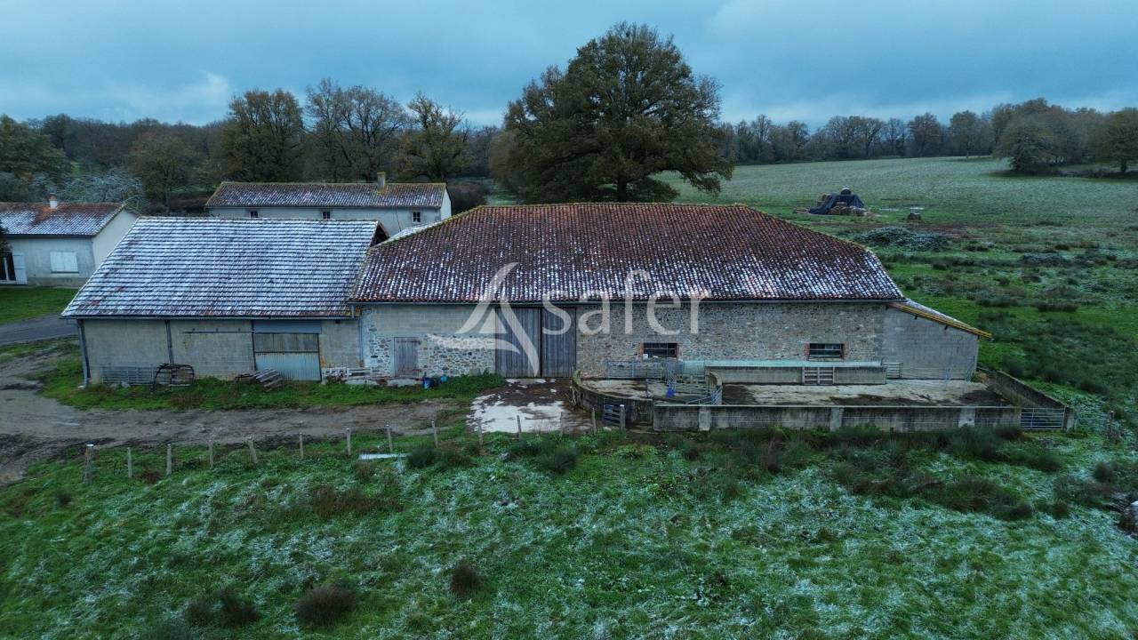 Azienda ovina In vendita Charente