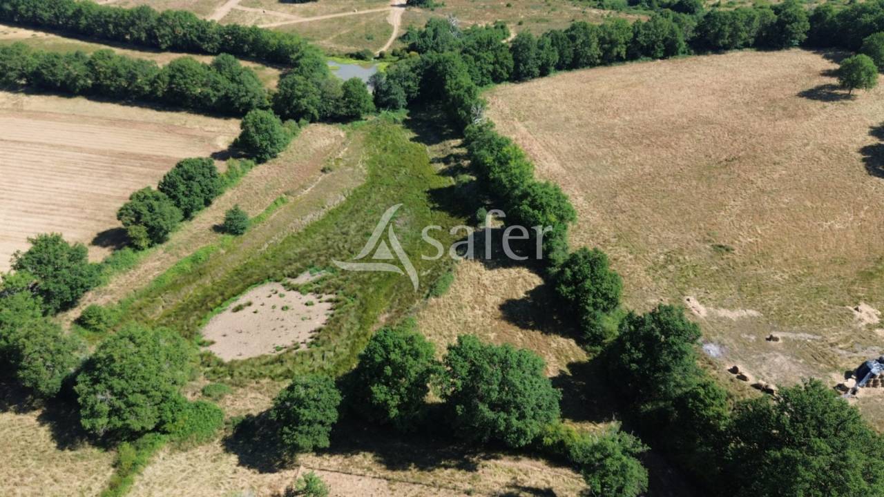 Azienda ovina In vendita Charente