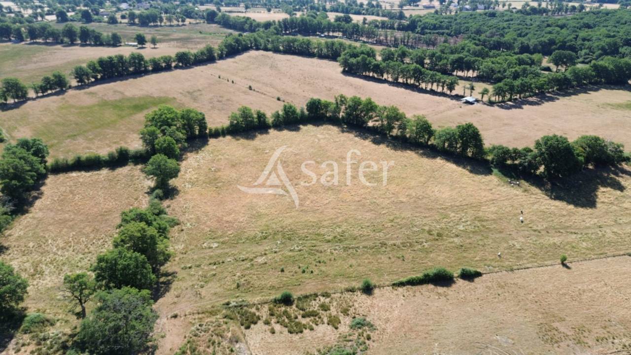 Azienda ovina In vendita Charente