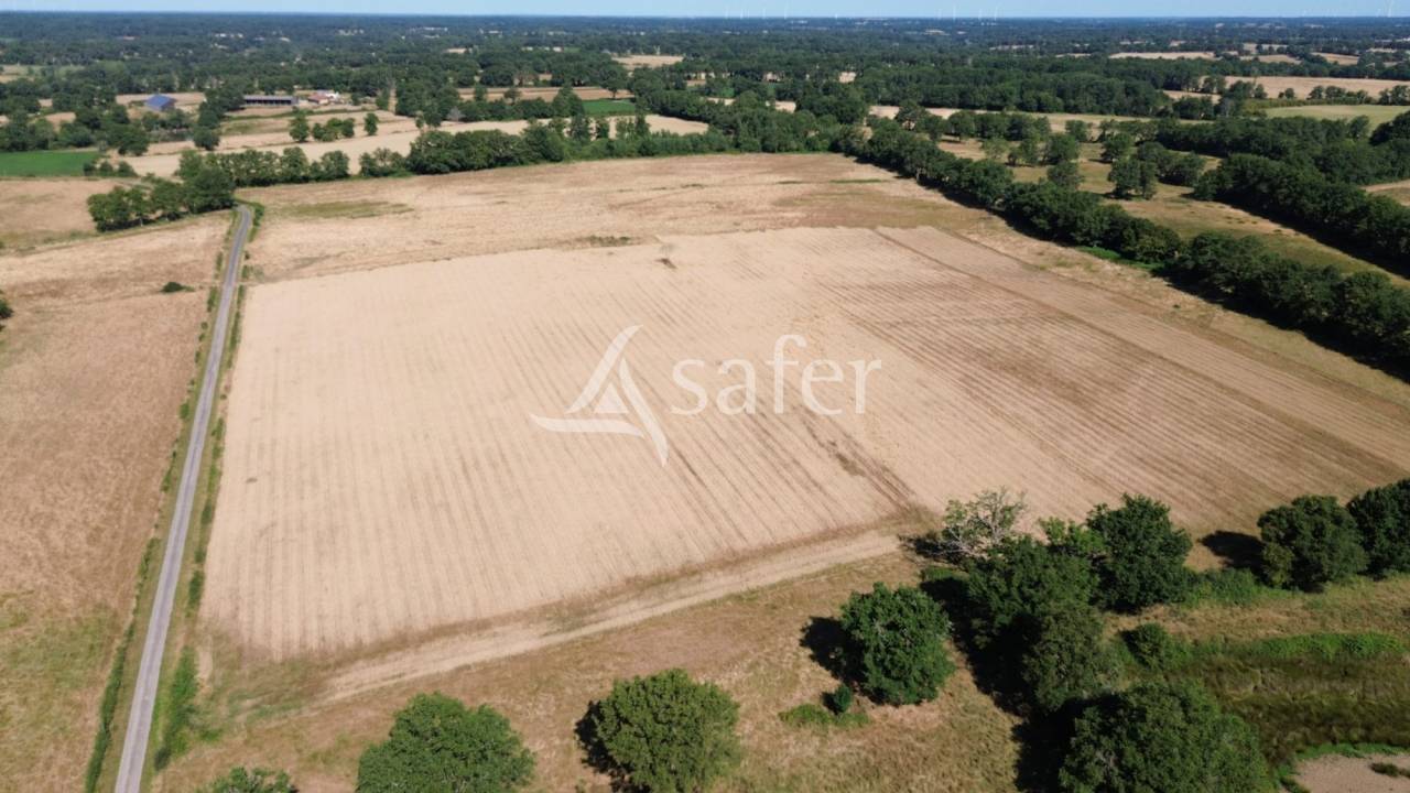 Azienda ovina In vendita Charente