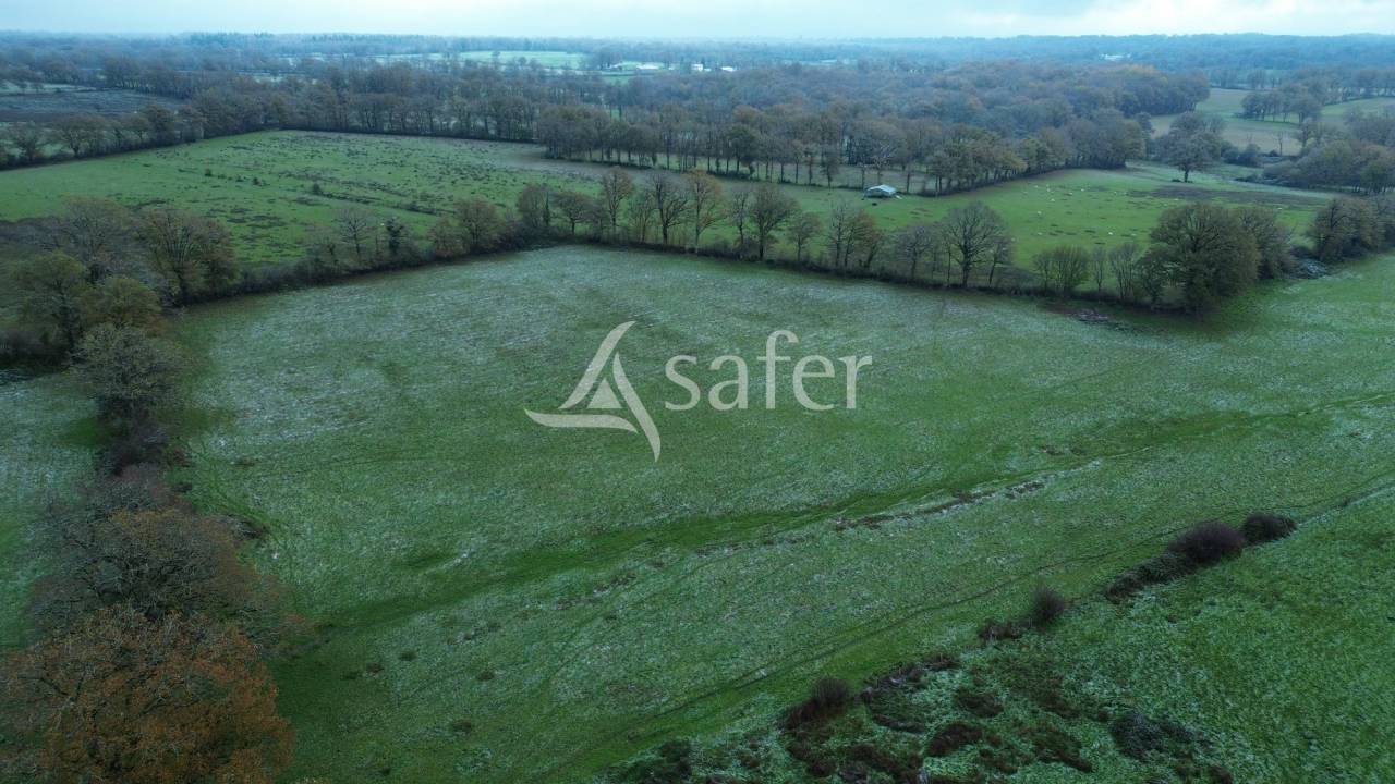 Azienda ovina In vendita Charente