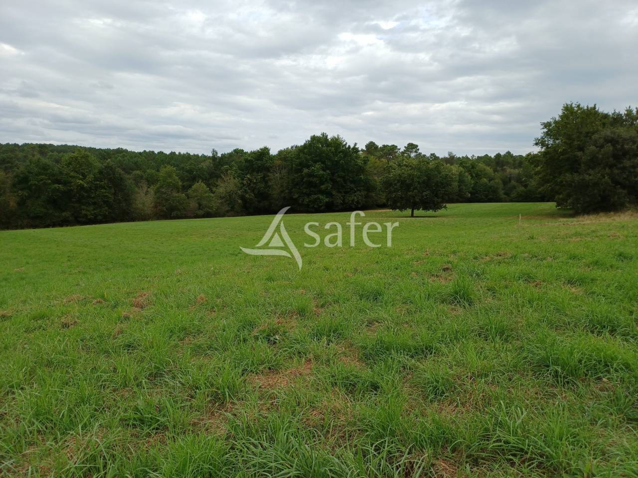 Proprietà equestre In vendita Dordogne