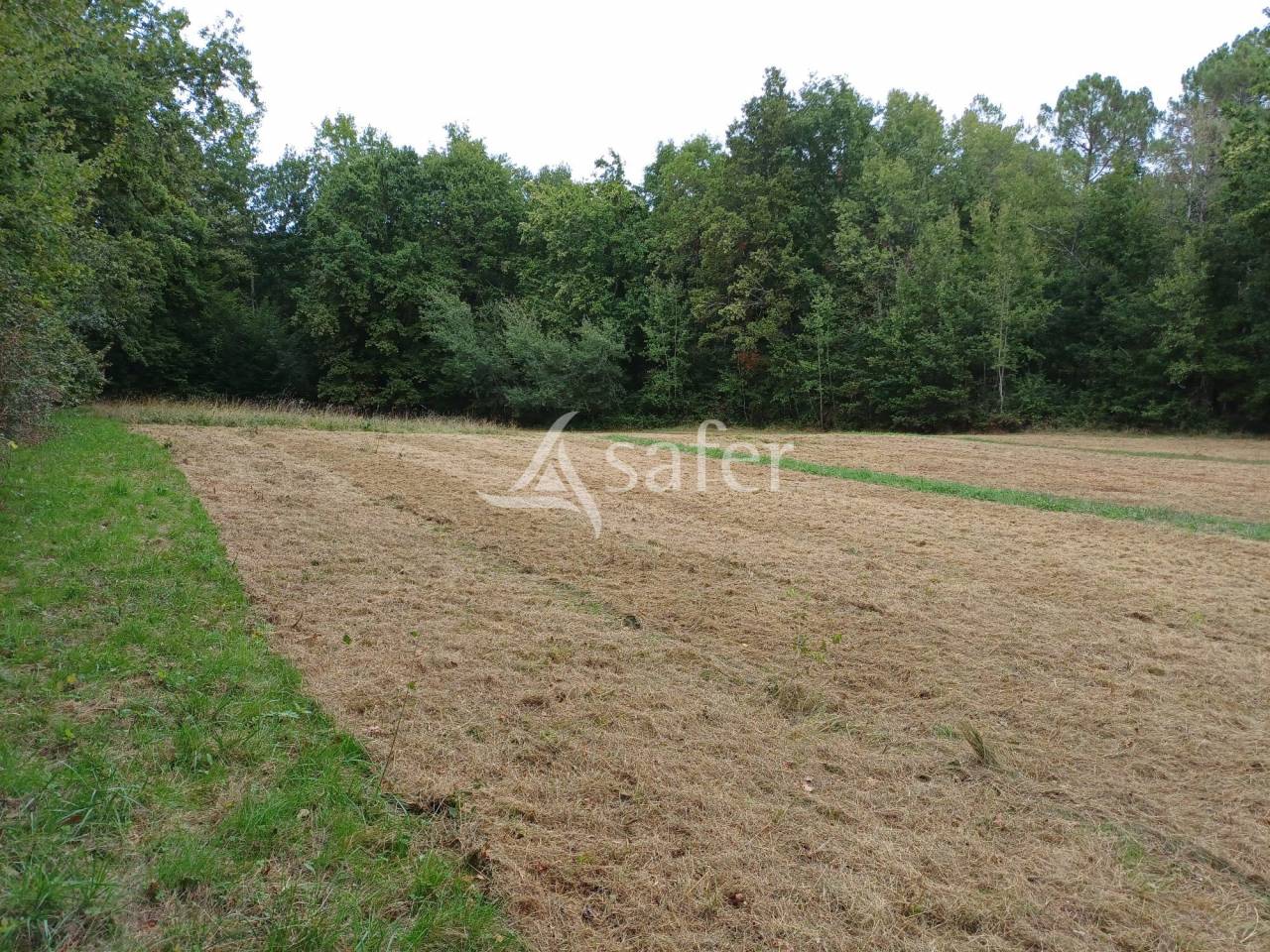 Proprietà equestre In vendita Dordogne