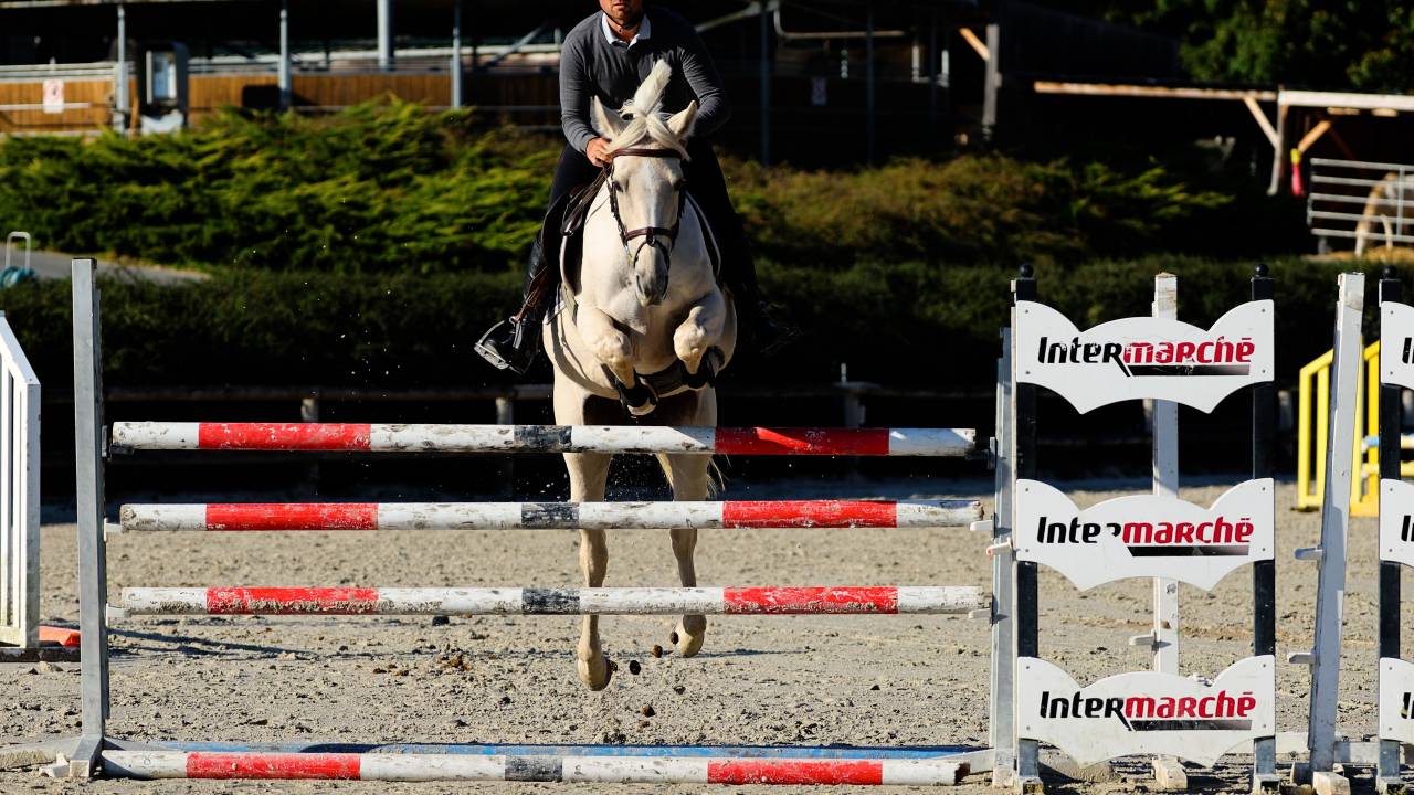Cavalla Cavallo da Sport Irlandese In vendita 2018 Palomino ,  Tullabeg Fusion