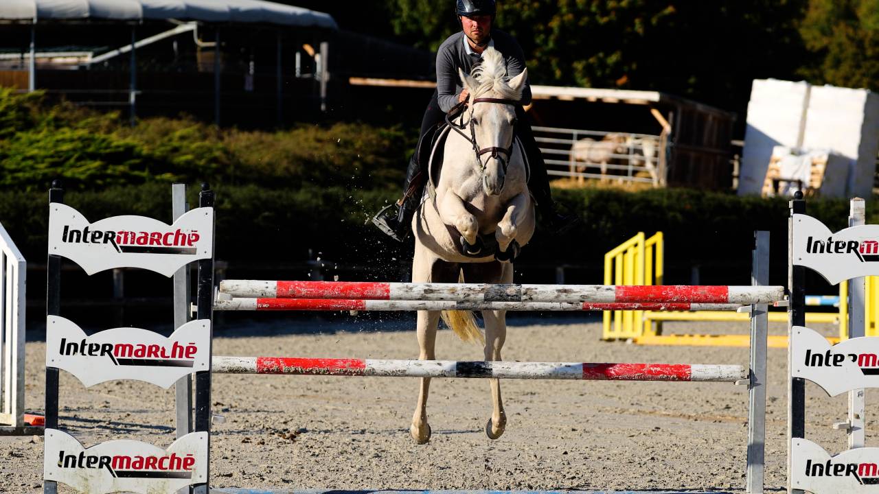 Cavalla Cavallo da Sport Irlandese In vendita 2018 Palomino ,  Tullabeg Fusion