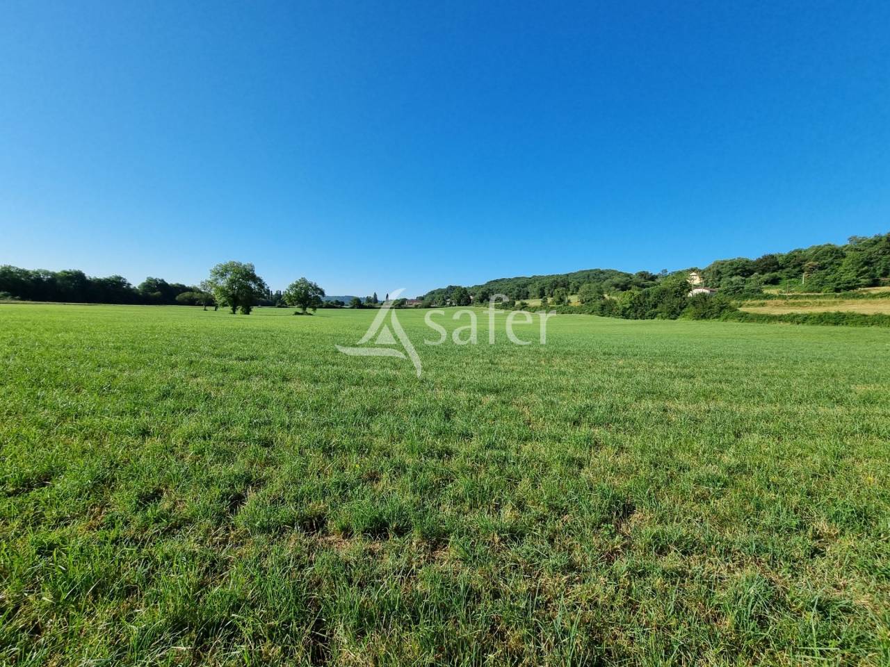 Azienda agricola In vendita Hautes-Pyrénées