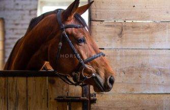Proprietà equestre In vendita Bouches-du-Rhône