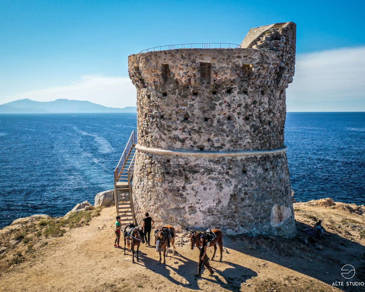 ATE (Accompagnatore Turismo Equestre) - CDD Tempo pieno - Corse-du-Sud Francia