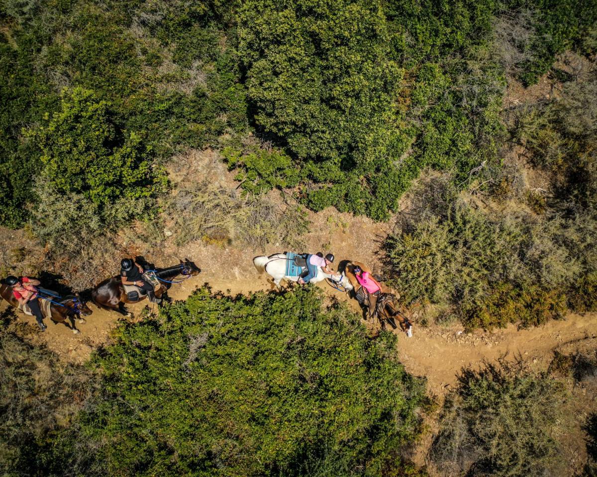 ATE (Accompagnatore Turismo Equestre) - CDD Tempo pieno - Corse-du-Sud Francia