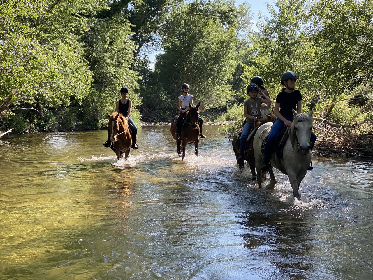 ATE (Accompagnatore Turismo Equestre) - CDD Tempo pieno - Corse-du-Sud Francia
