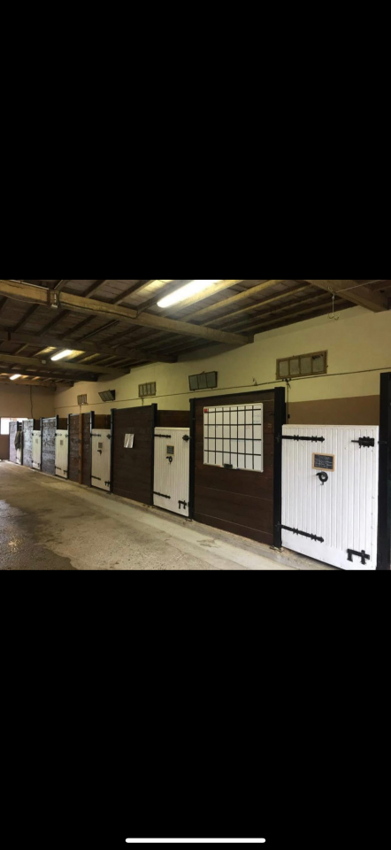 Le haras de l&rsquo;esperanza by delcroix Manon EI  