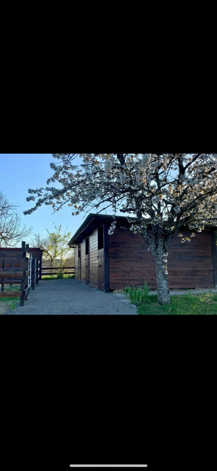 Le haras de l&rsquo;esperanza by delcroix Manon EI  