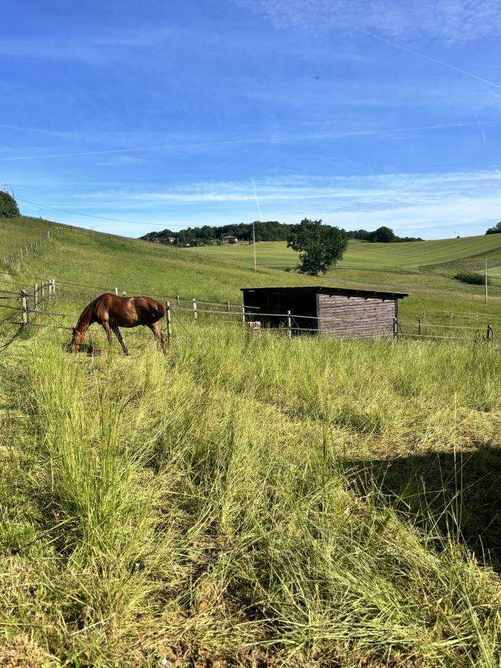 Le haras de l&rsquo;esperanza by delcroix Manon EI  