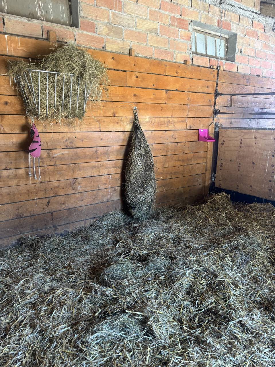 Le haras de l&rsquo;esperanza by delcroix Manon EI  