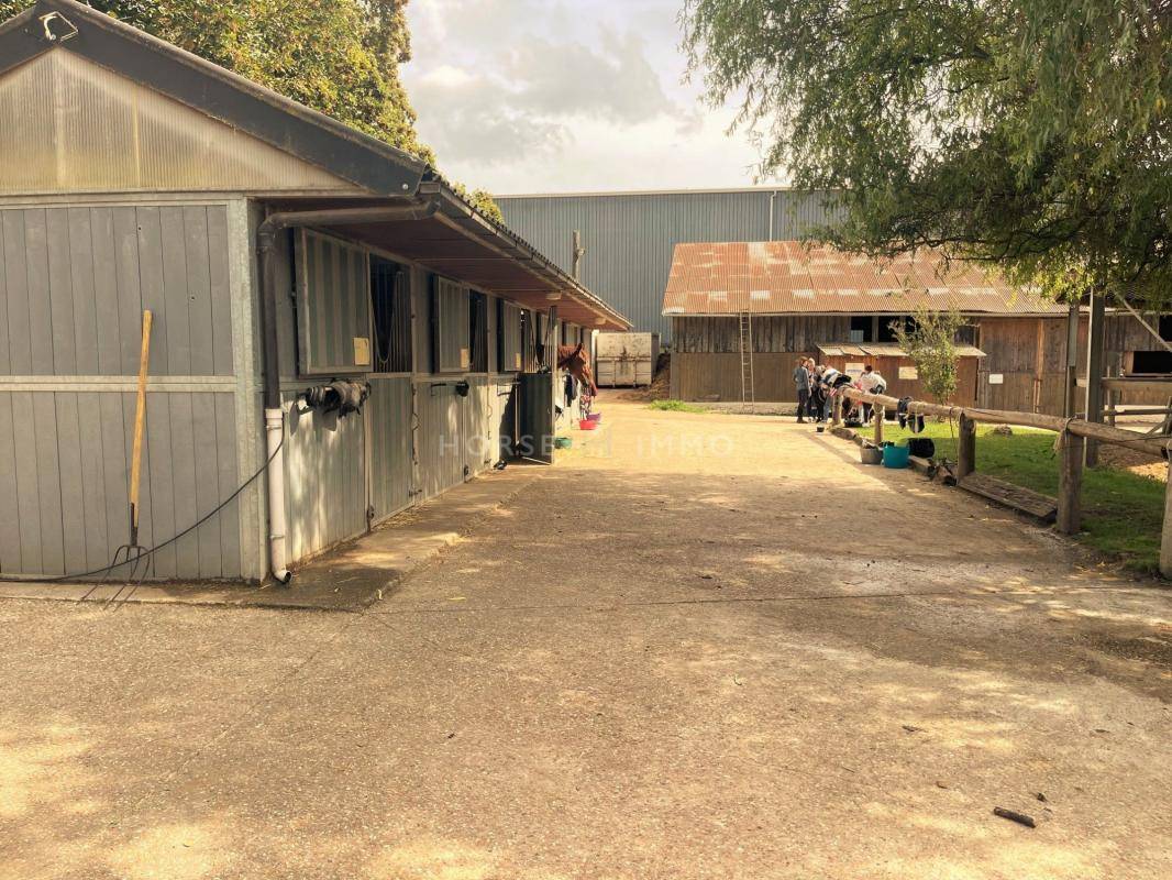 Centro ippico In vendita Yvelines