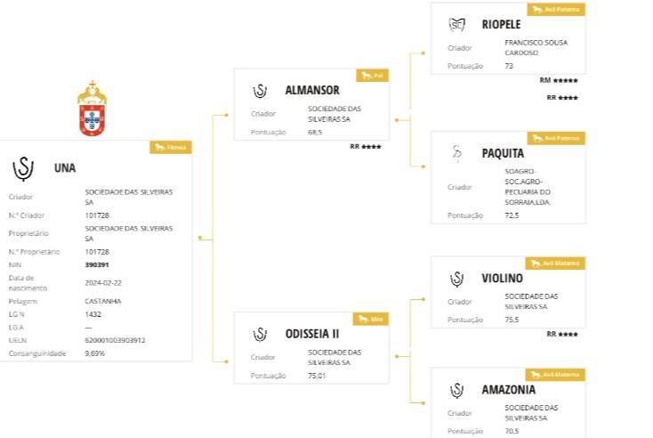 Puledra Lusitano In vendita 2024 Grigio ,  Almansor SS