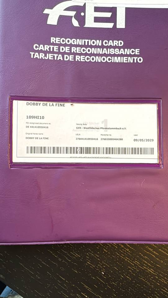 Castrone Hanovrien In vendita 2016 Baio scuro